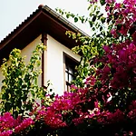 Deja Vu Hotel 3*