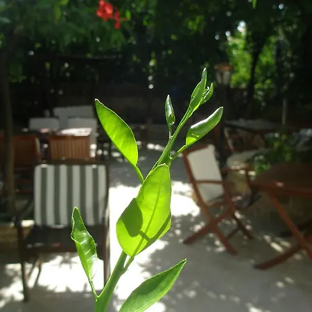 Deja Vu Ξενοδοχείο