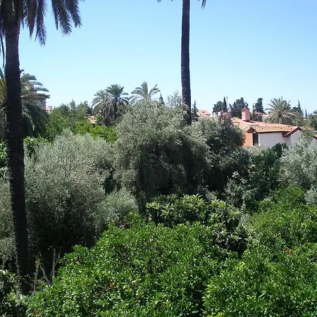 Deja Vu 3* Анталья